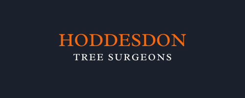 Hoddesdon Tree Surgeons